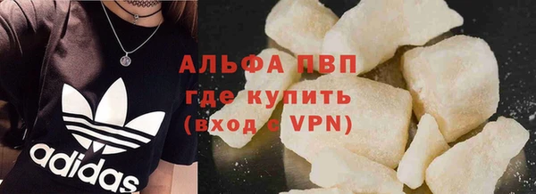 СК Алексин
