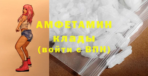 СК Алексин