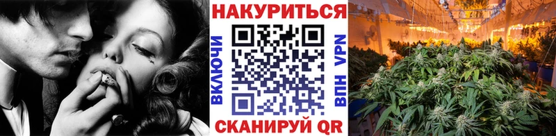 Бошки марихуана семена  Грязовец 